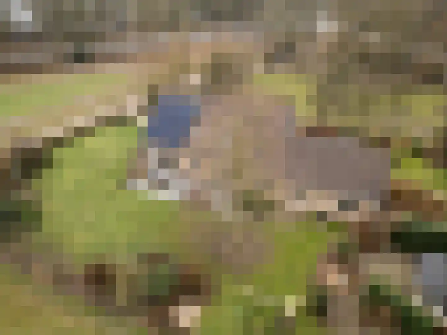 Bosweg 1 Wageningen thumbnail 11
