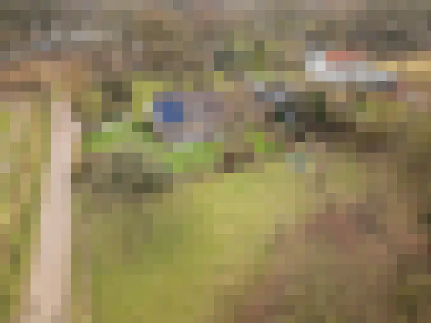 Bosweg 1 Wageningen thumbnail 12
