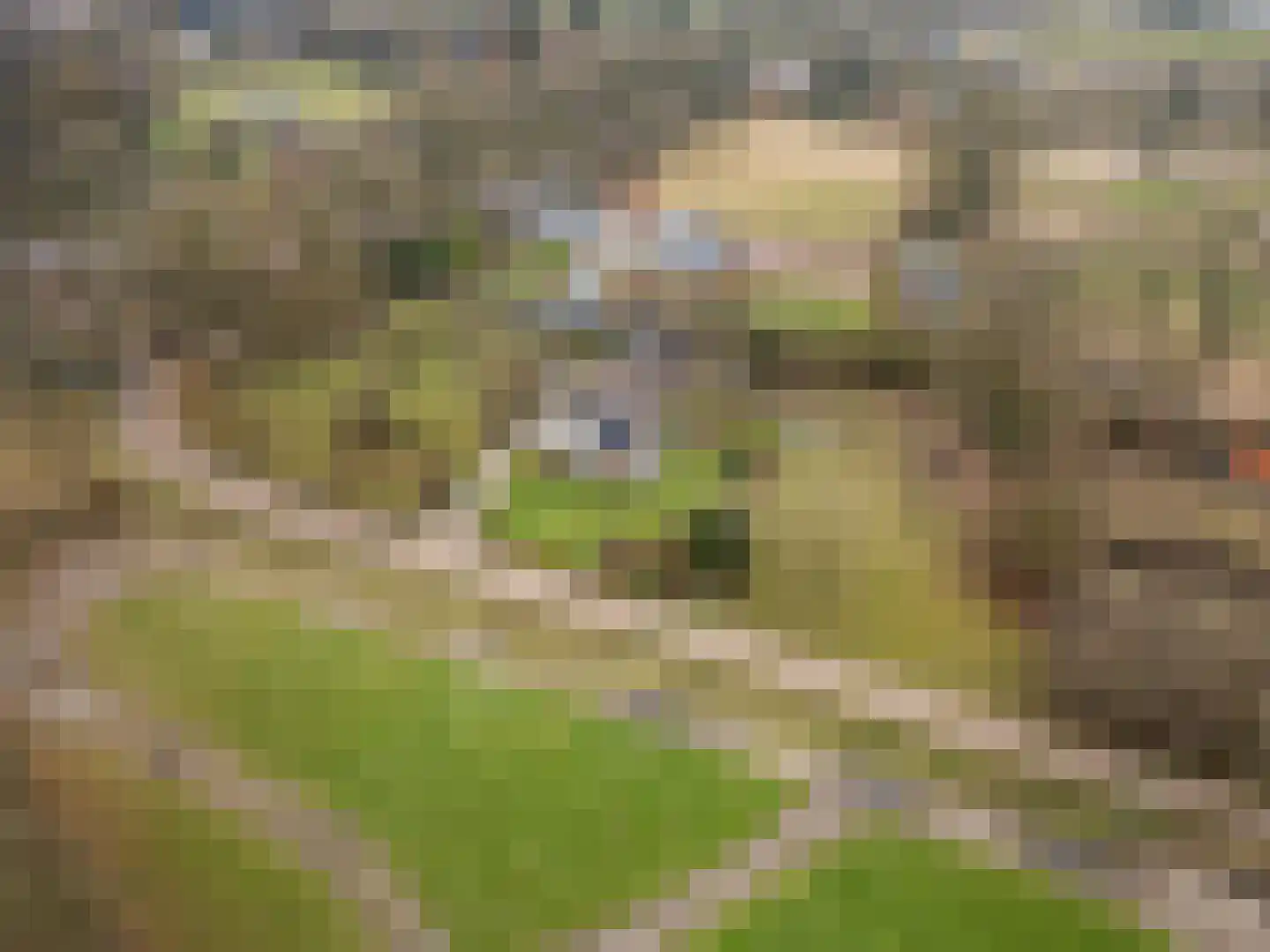 Bosweg 1 Wageningen thumbnail 13