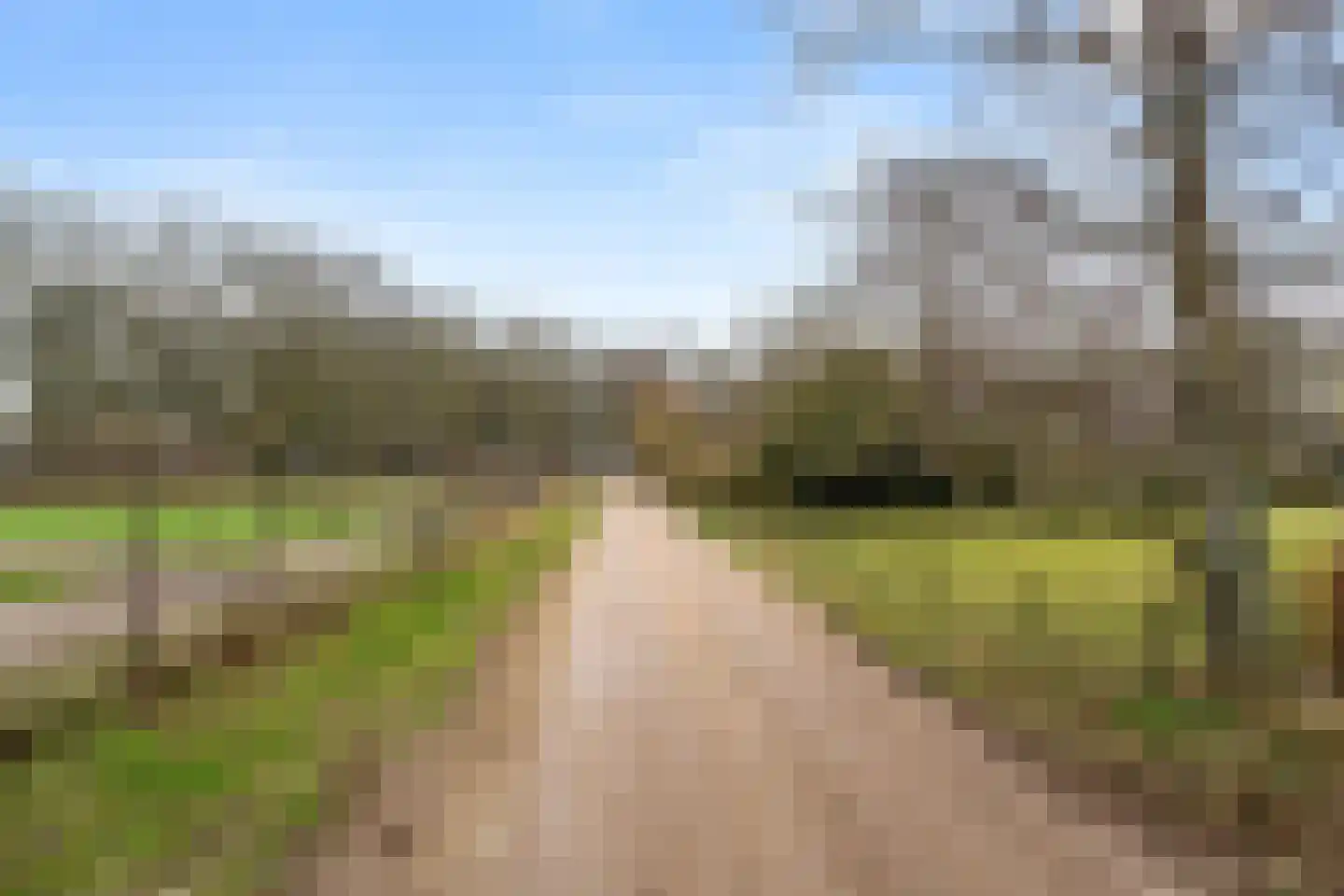 Bosweg 1 Wageningen thumbnail 16