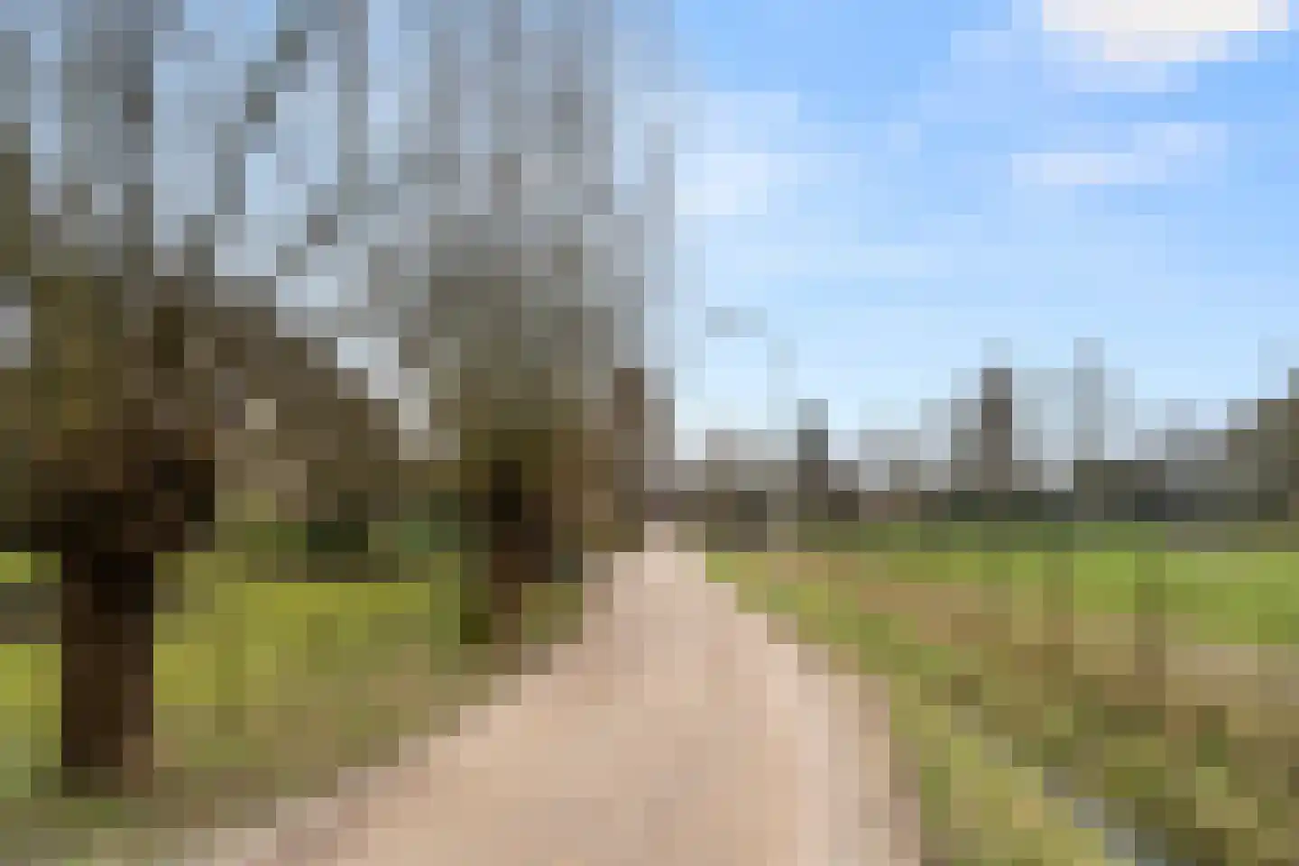 Bosweg 1 Wageningen thumbnail 18
