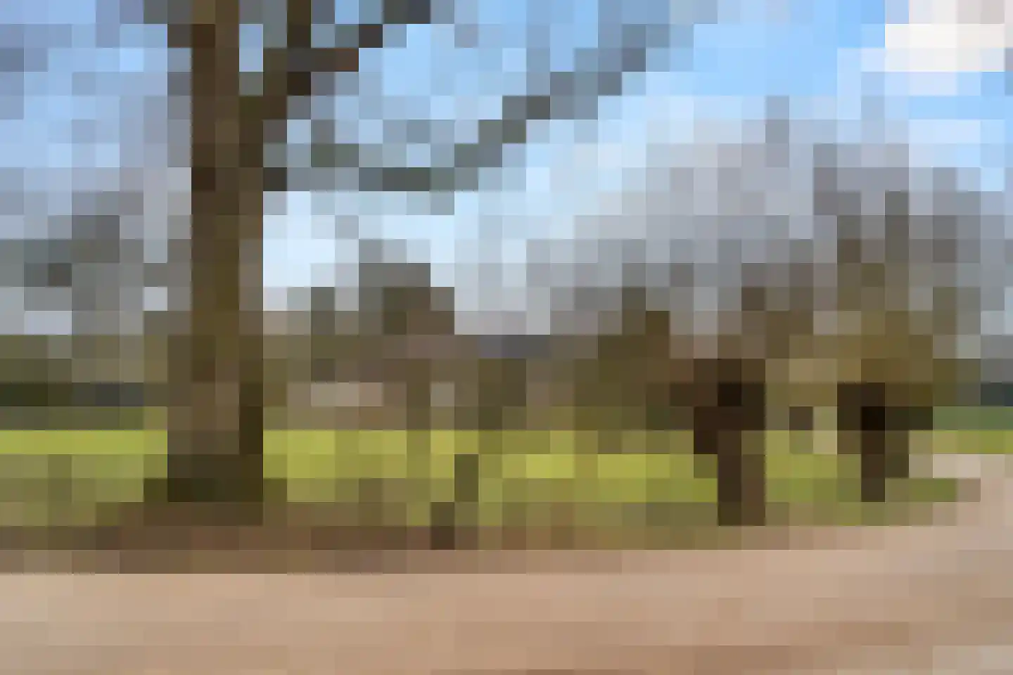 Bosweg 1 Wageningen thumbnail 19