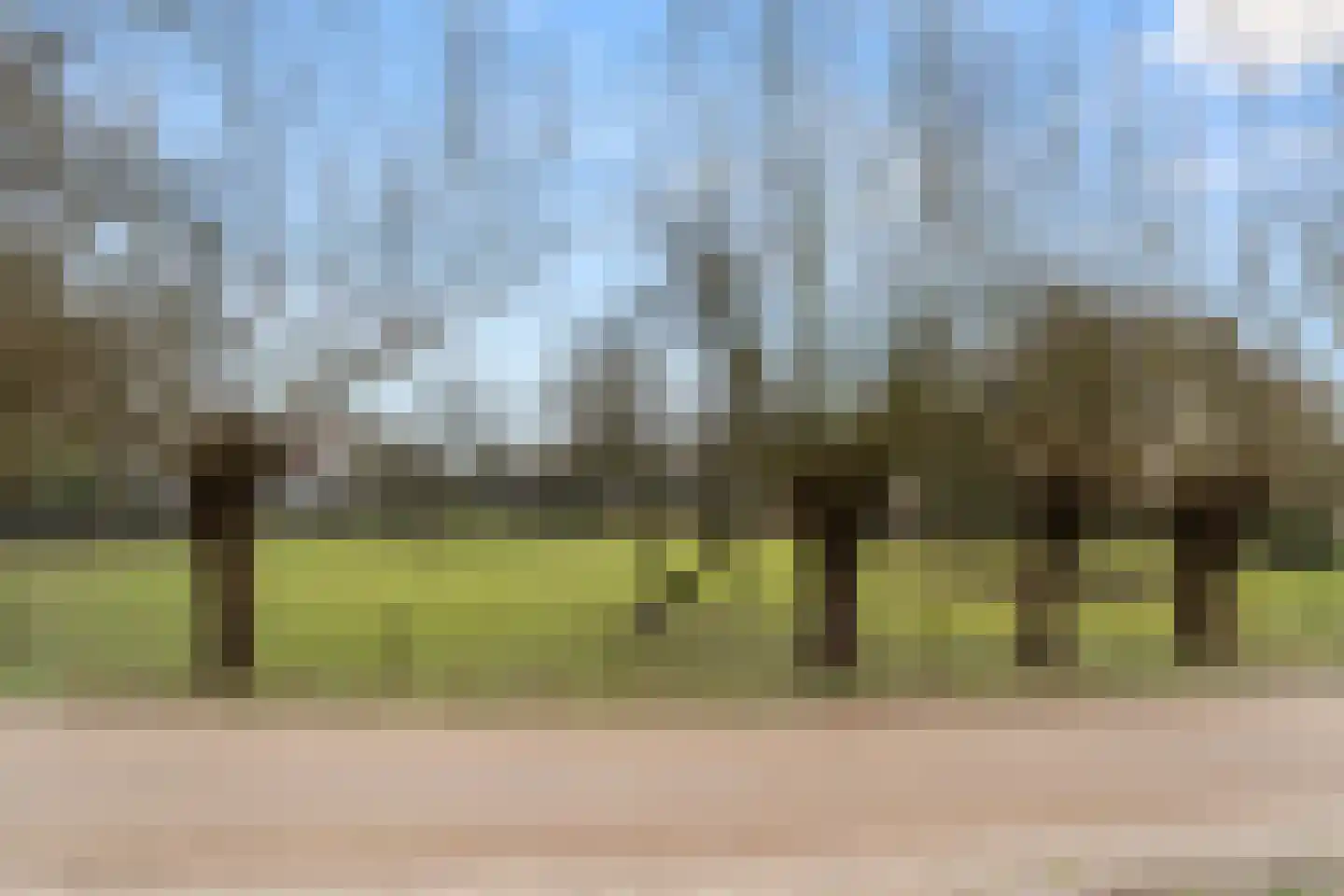 Bosweg 1 Wageningen thumbnail 20
