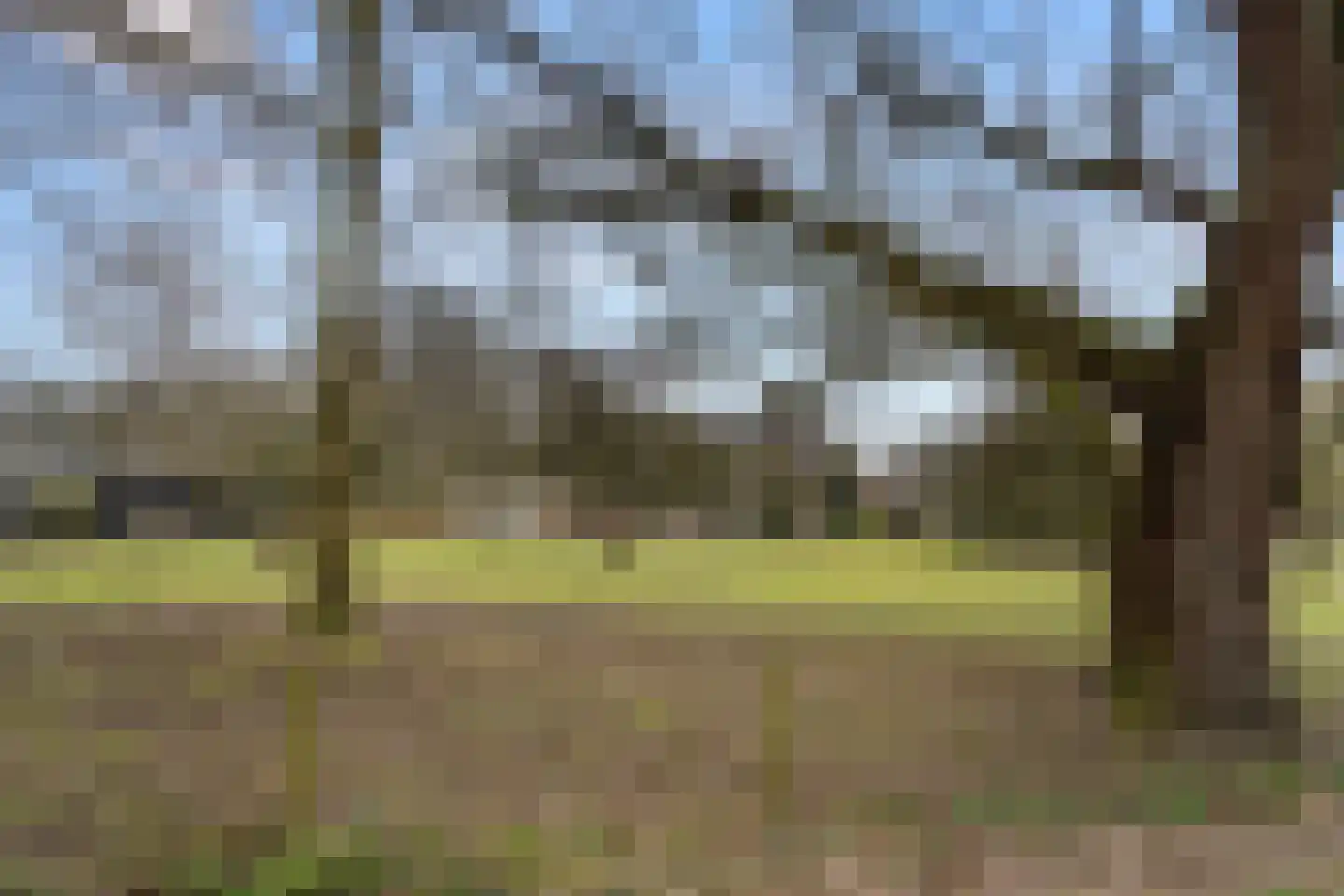 Bosweg 1 Wageningen thumbnail 21