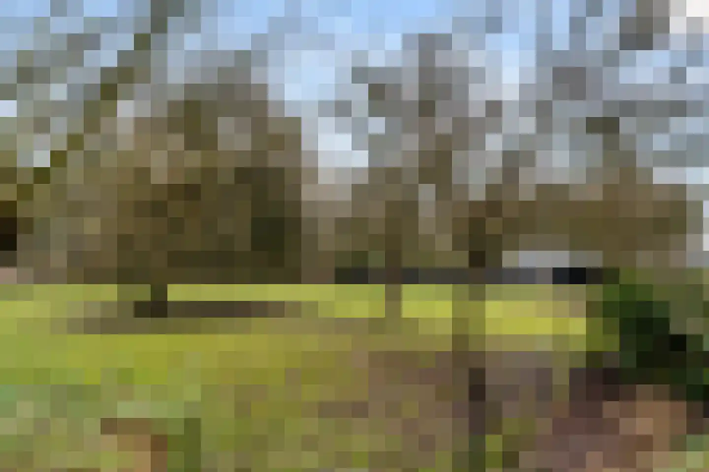 Bosweg 1 Wageningen thumbnail 22