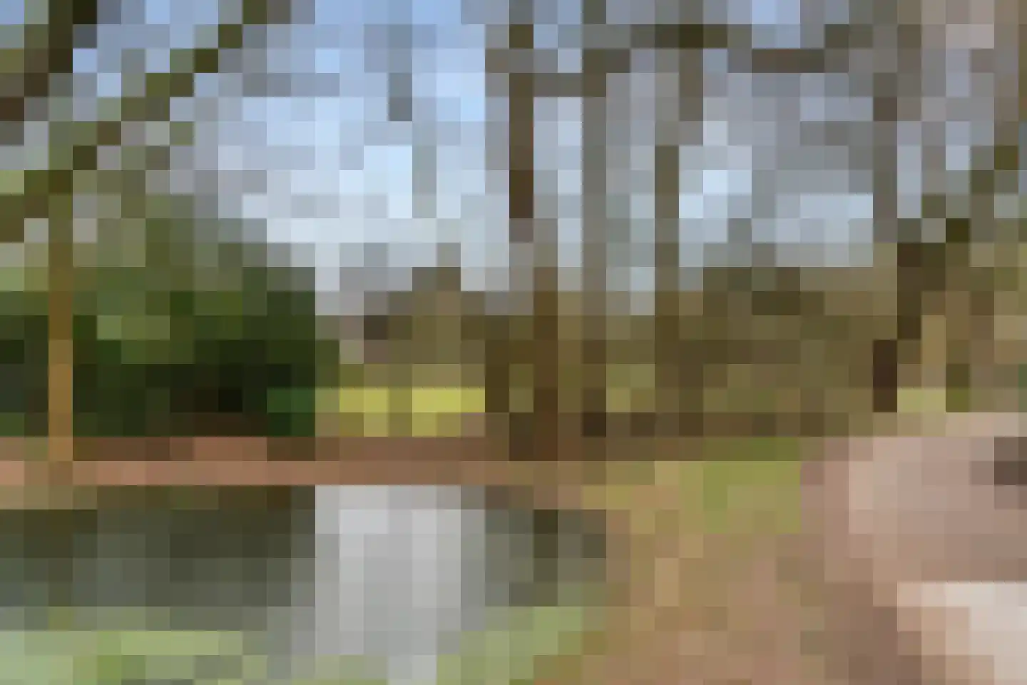 Bosweg 1 Wageningen thumbnail 23