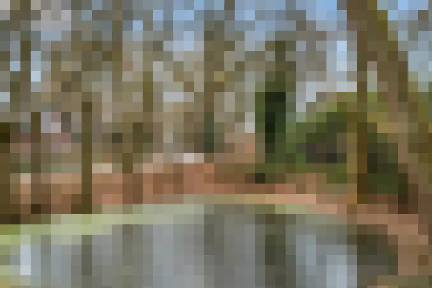 Bosweg 1 Wageningen thumbnail 24