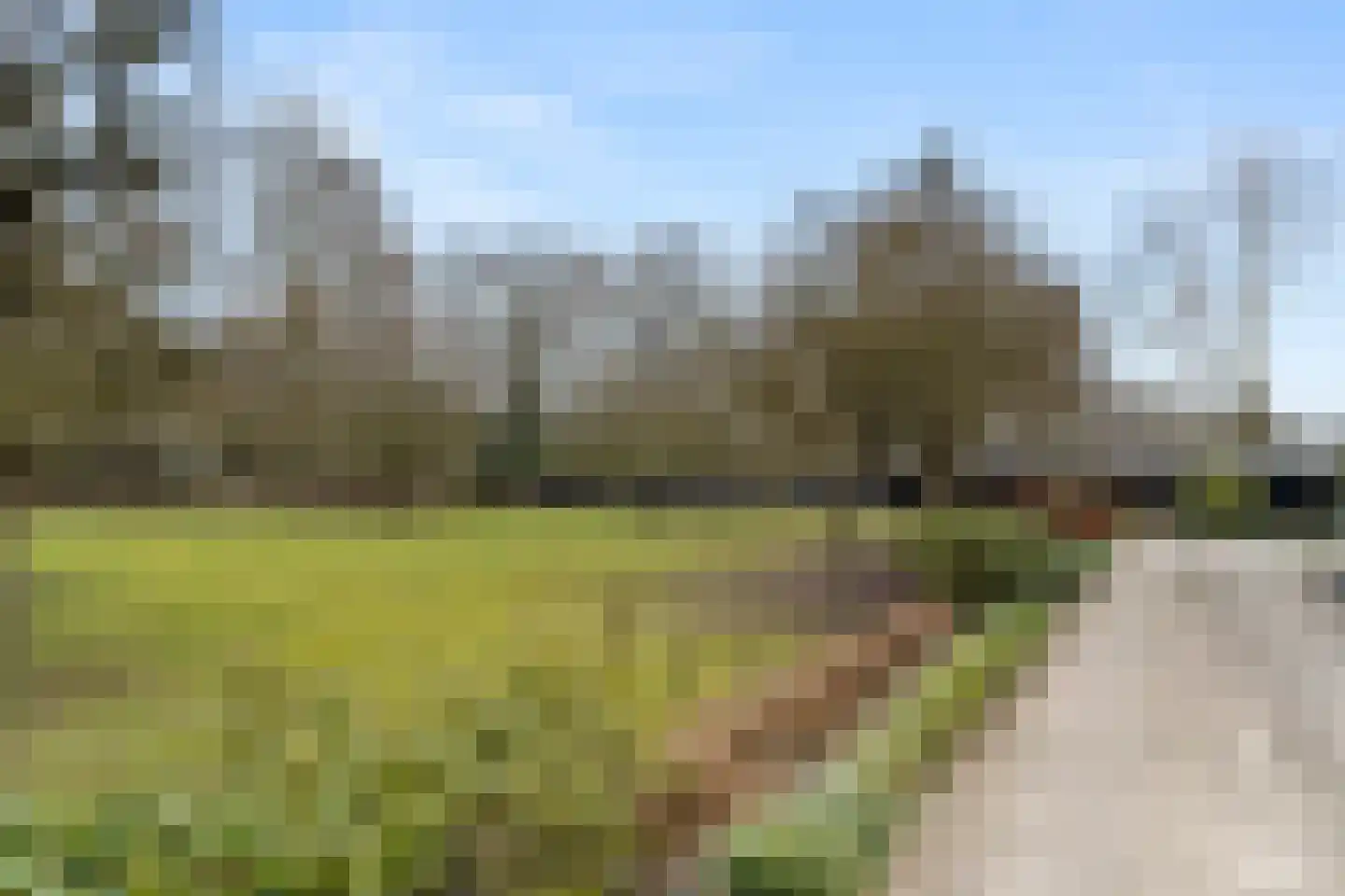 Bosweg 1 Wageningen thumbnail 28