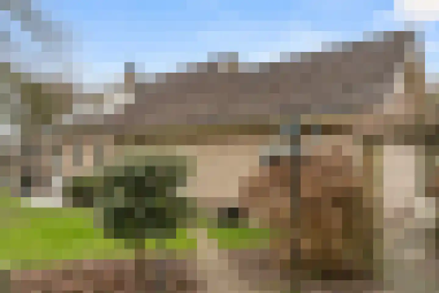 Bosweg 1 Wageningen thumbnail 31