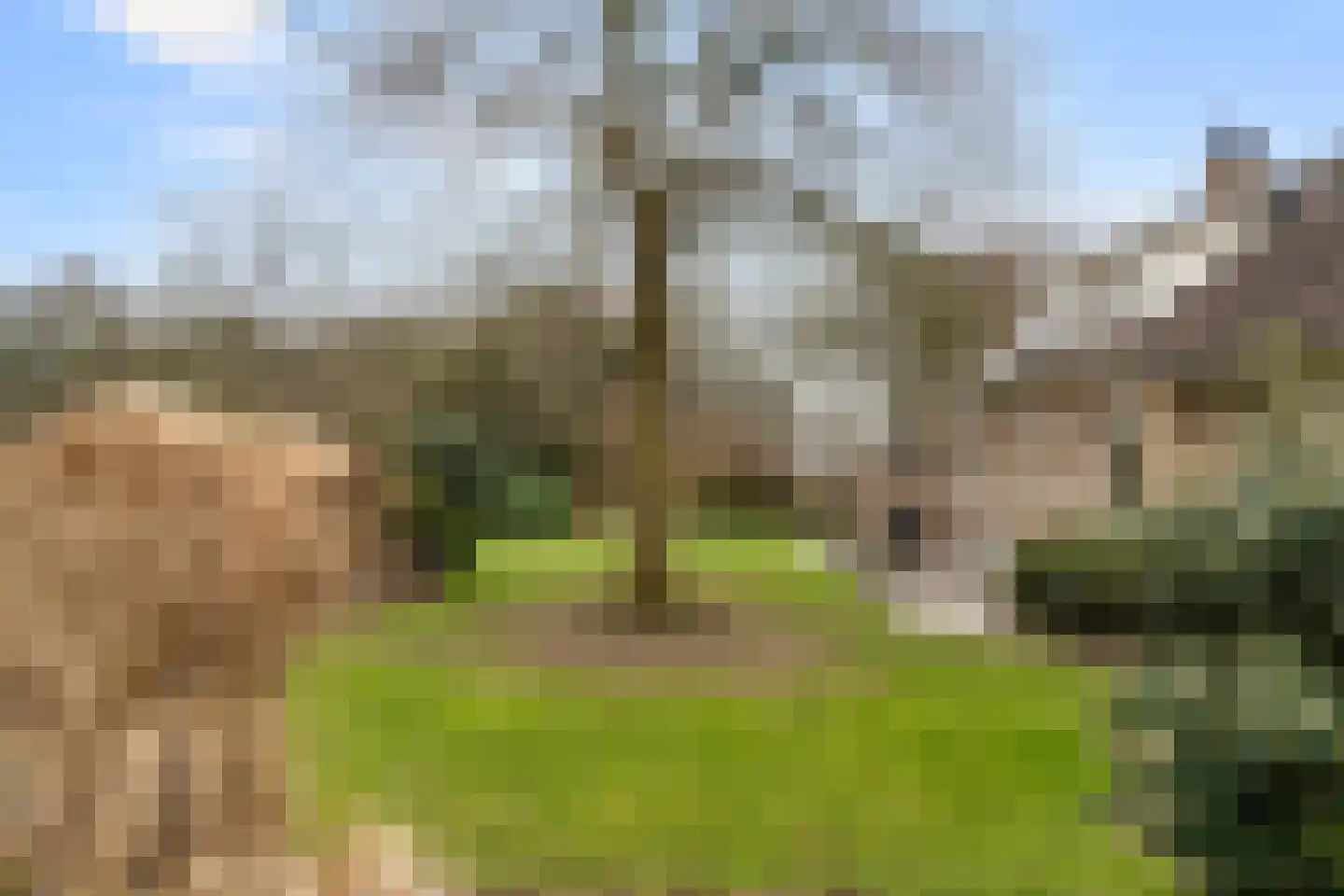 Bosweg 1 Wageningen thumbnail 32