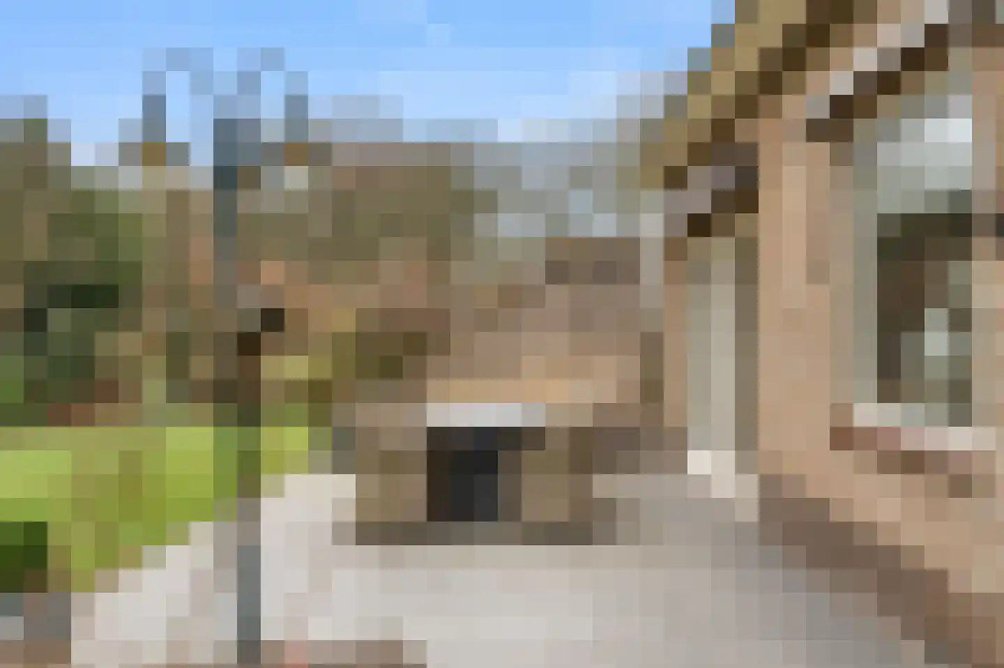 Bosweg 1 Wageningen thumbnail 33
