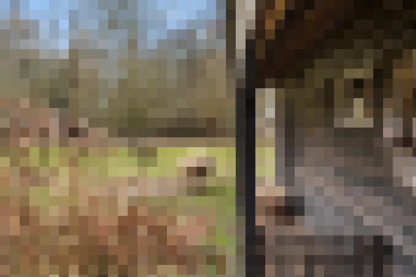 Bosweg 1 Wageningen thumbnail 37