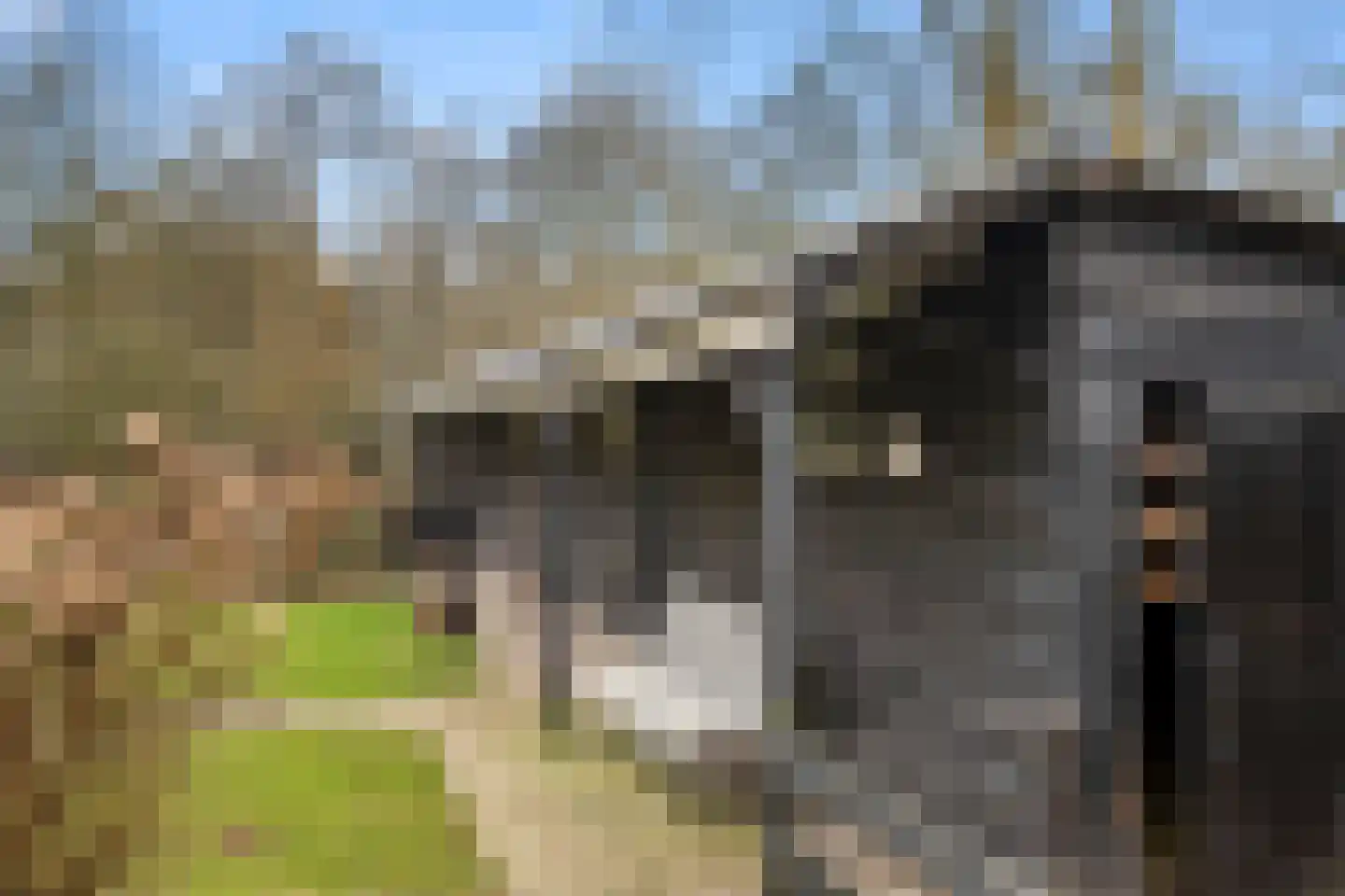 Bosweg 1 Wageningen thumbnail 39