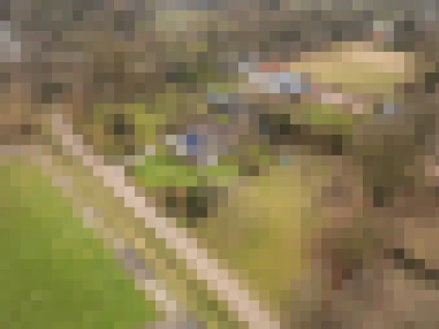 Bosweg 1 Wageningen thumbnail 4