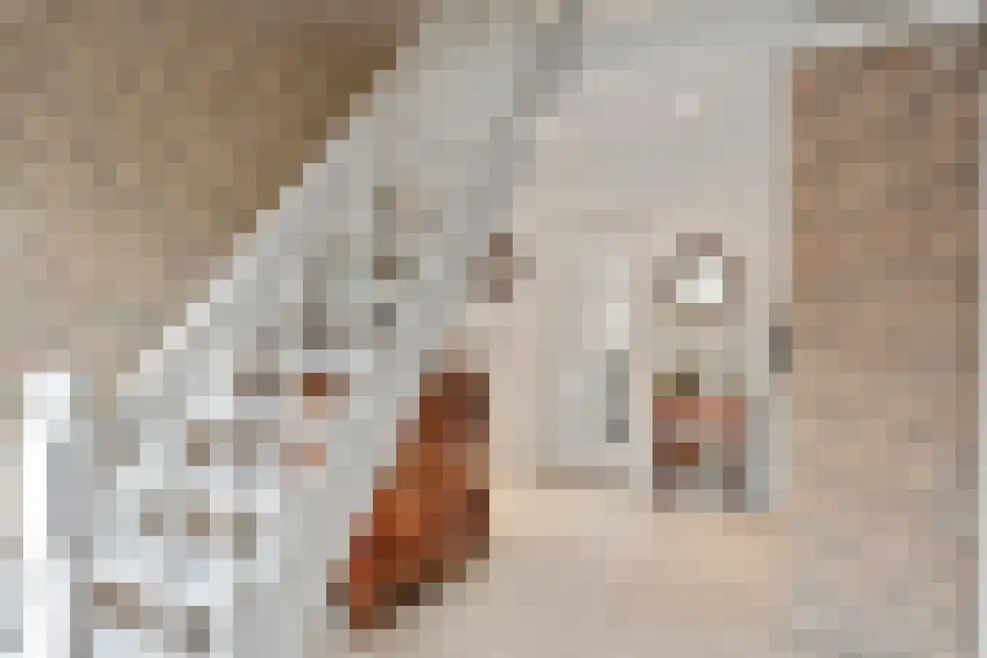 Bosweg 1 Wageningen thumbnail 43