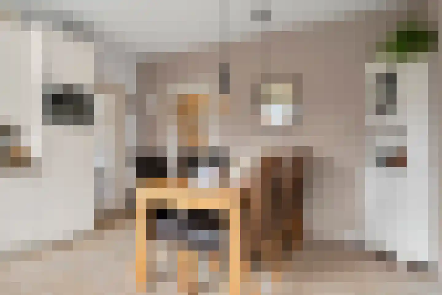 Bosweg 1 Wageningen thumbnail 53