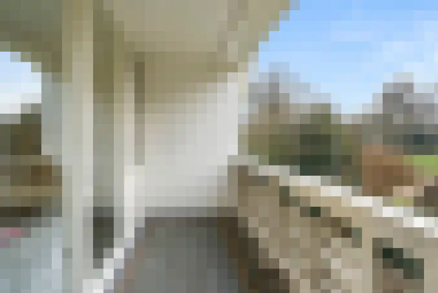 Bosweg 1 Wageningen thumbnail 72