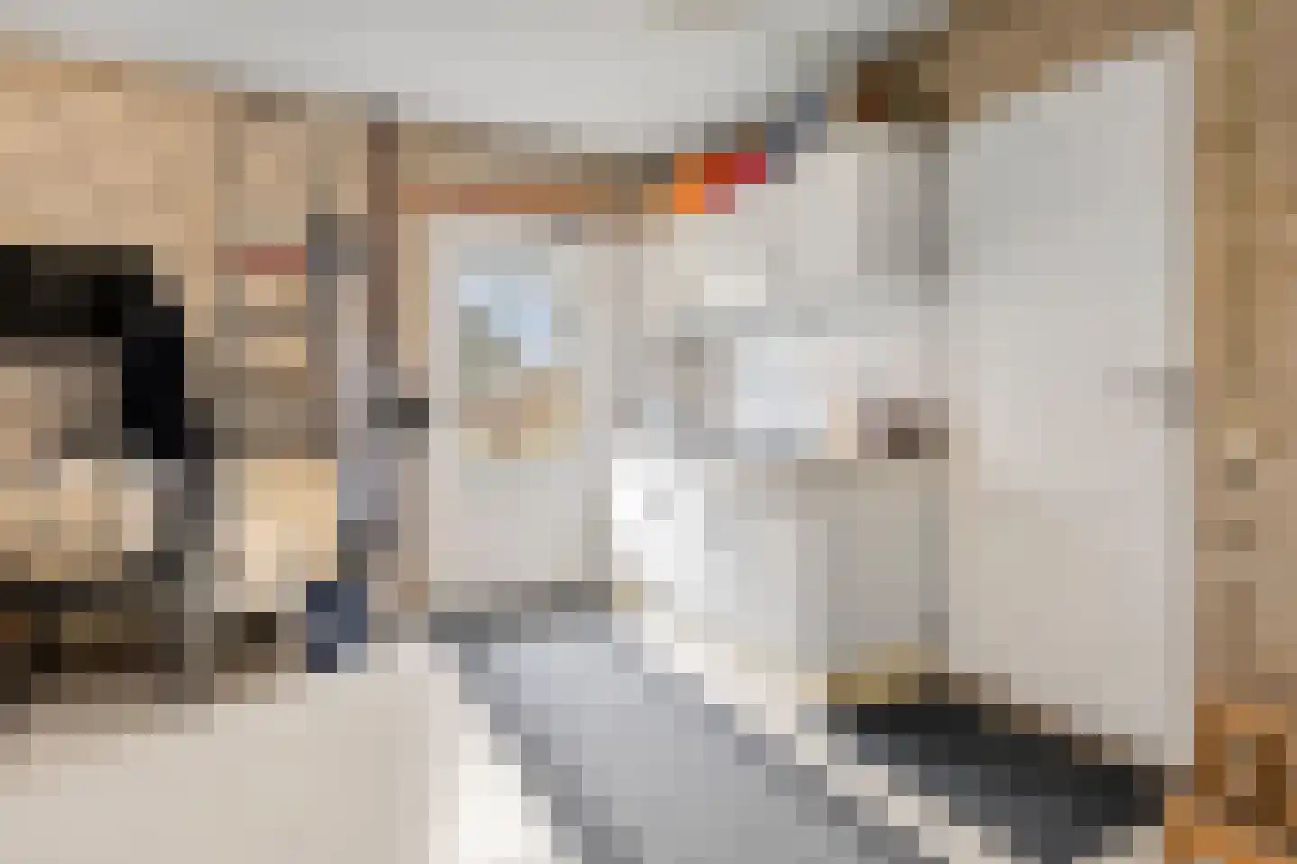 Bosweg 1 Wageningen thumbnail 78