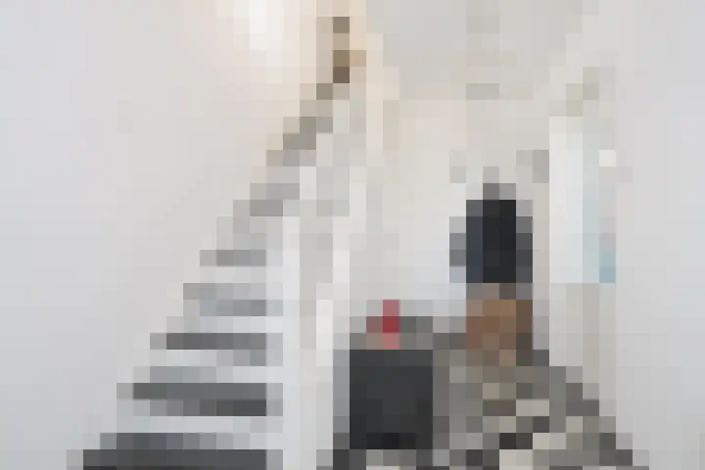 Bosweg 1 Zoutelande thumbnail 24