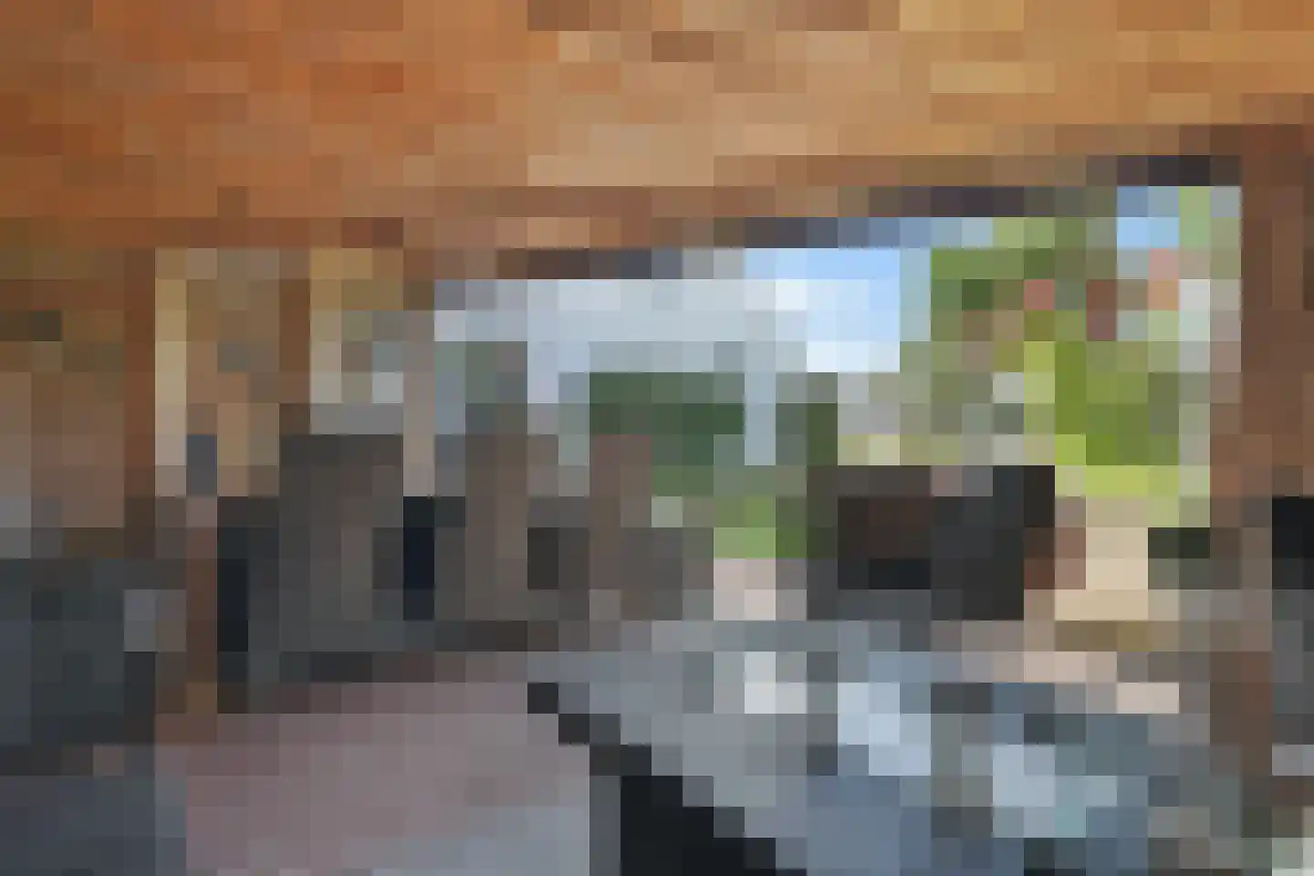 Bosweg 1 Zoutelande thumbnail 42