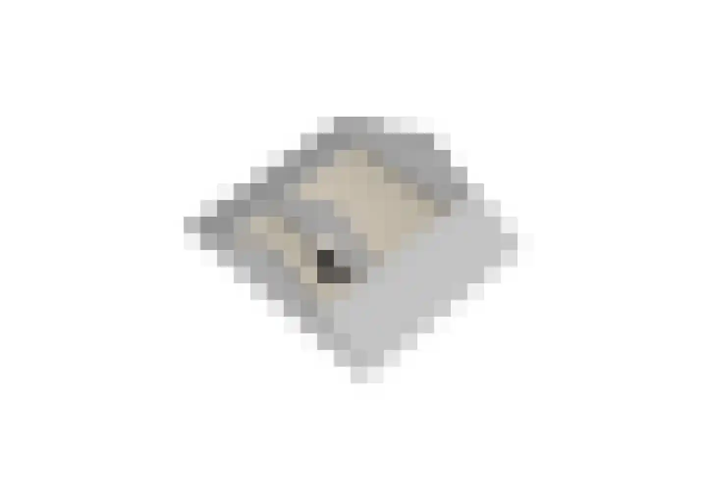 Bosweg 1 Zoutelande thumbnail 50