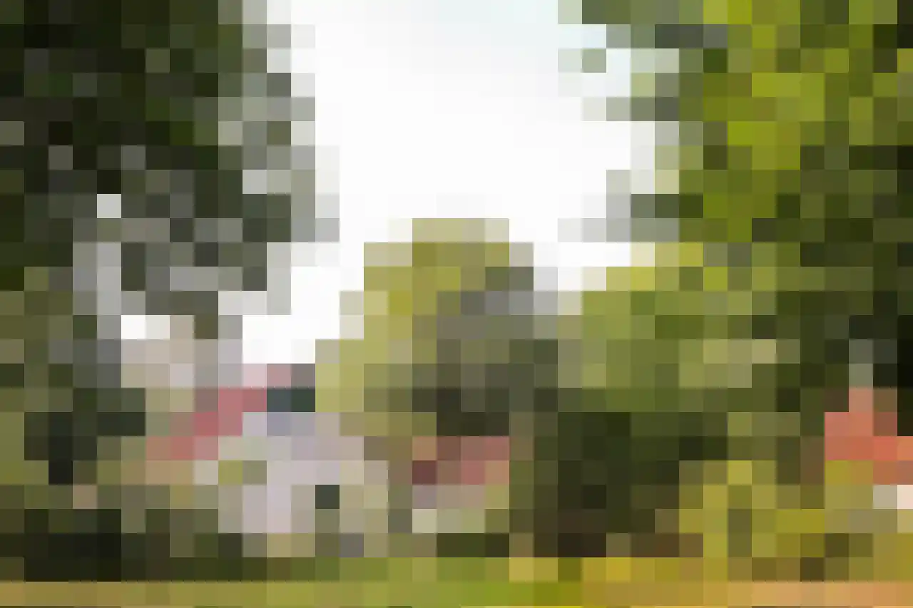 Bosweg 10 A 51 Hoogersmilde thumbnail 19