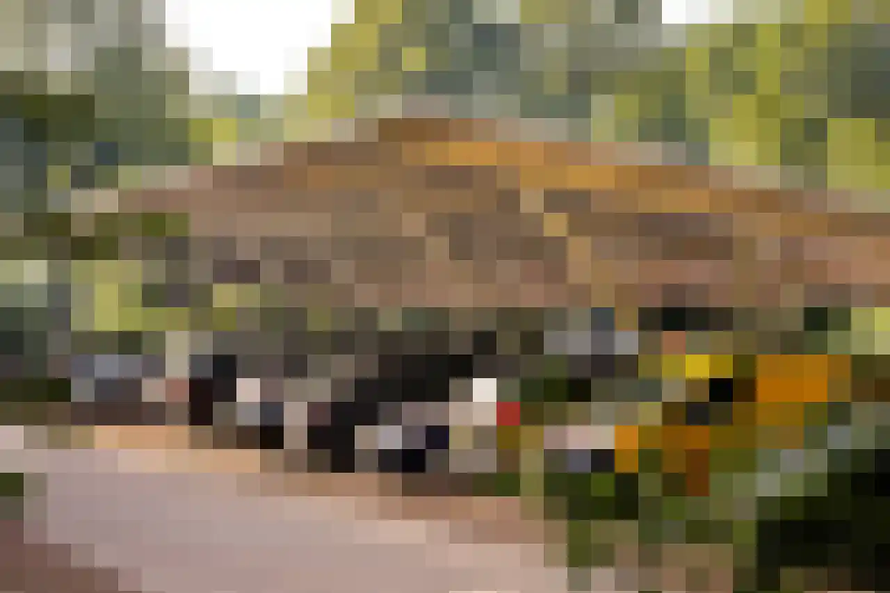Bosweg 10 A 51 Hoogersmilde thumbnail 20