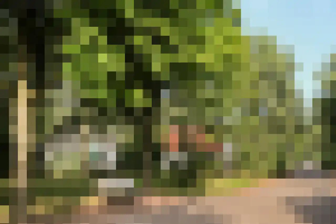 Bosweg 10 A 51 Hoogersmilde thumbnail 21