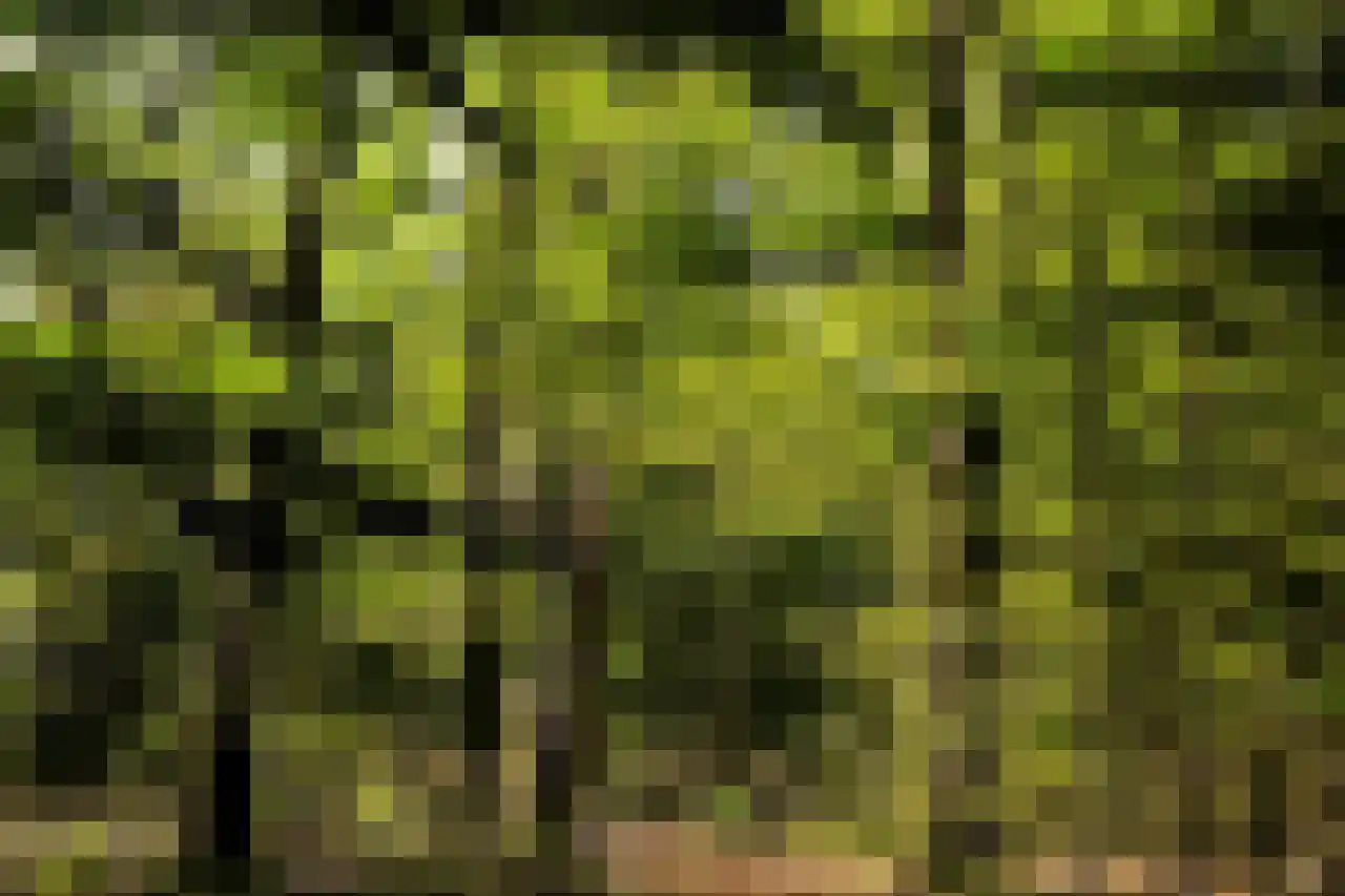Bosweg 10 A 51 Hoogersmilde thumbnail 23