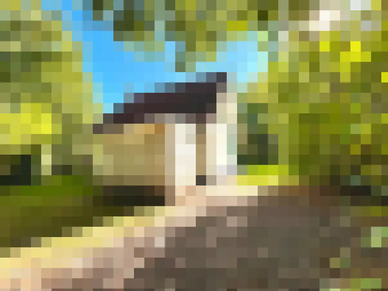 Bosweg 10 A 51 Hoogersmilde thumbnail 5