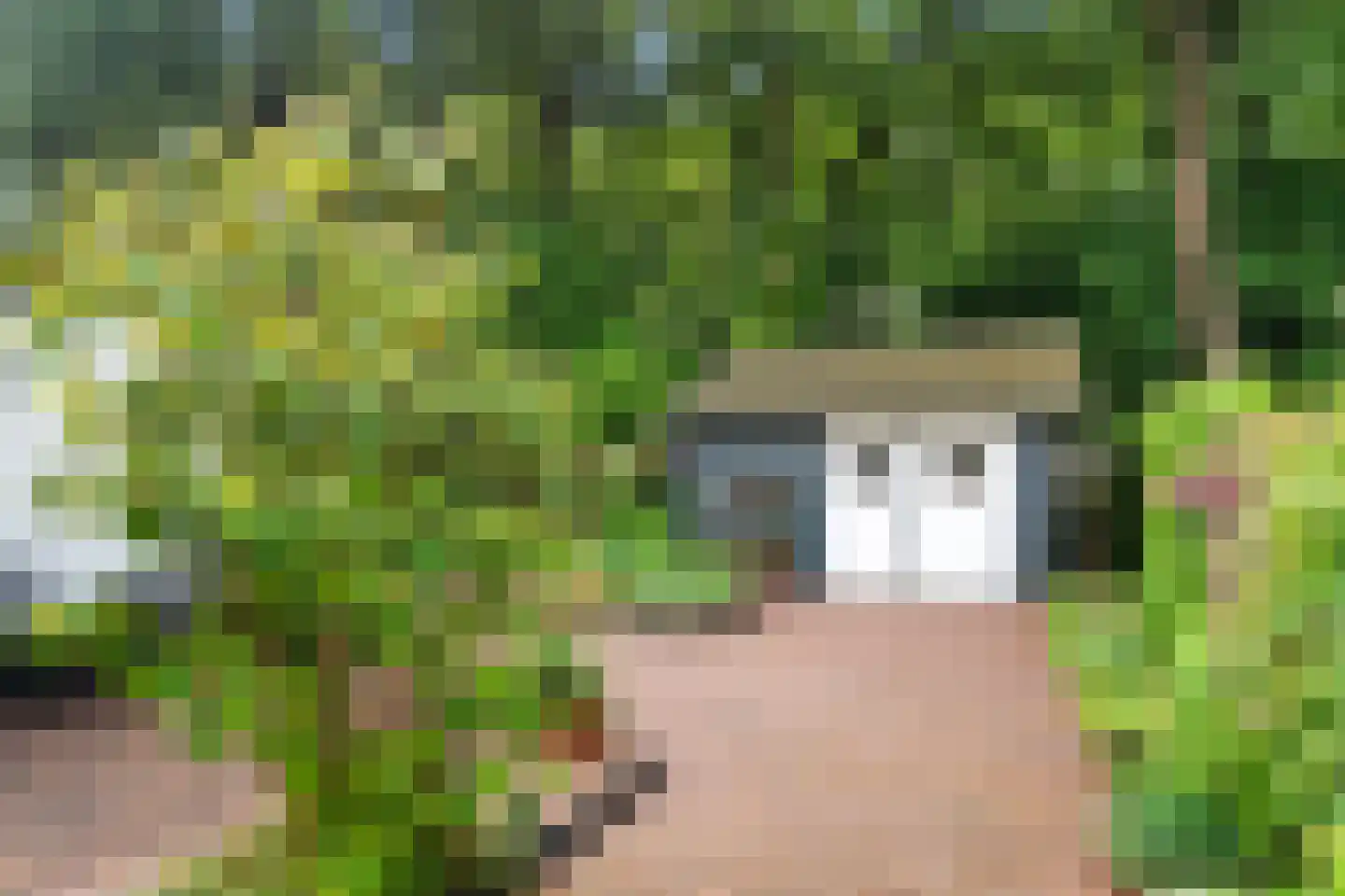Bosweg 10 Bennekom thumbnail 13