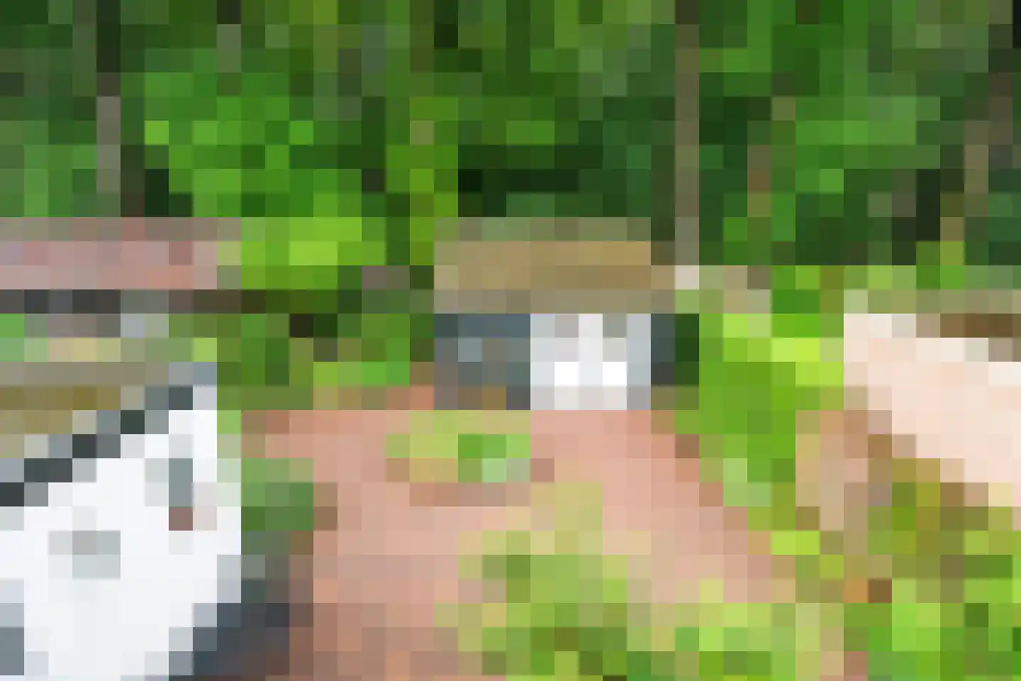 Bosweg 10 Bennekom thumbnail 54