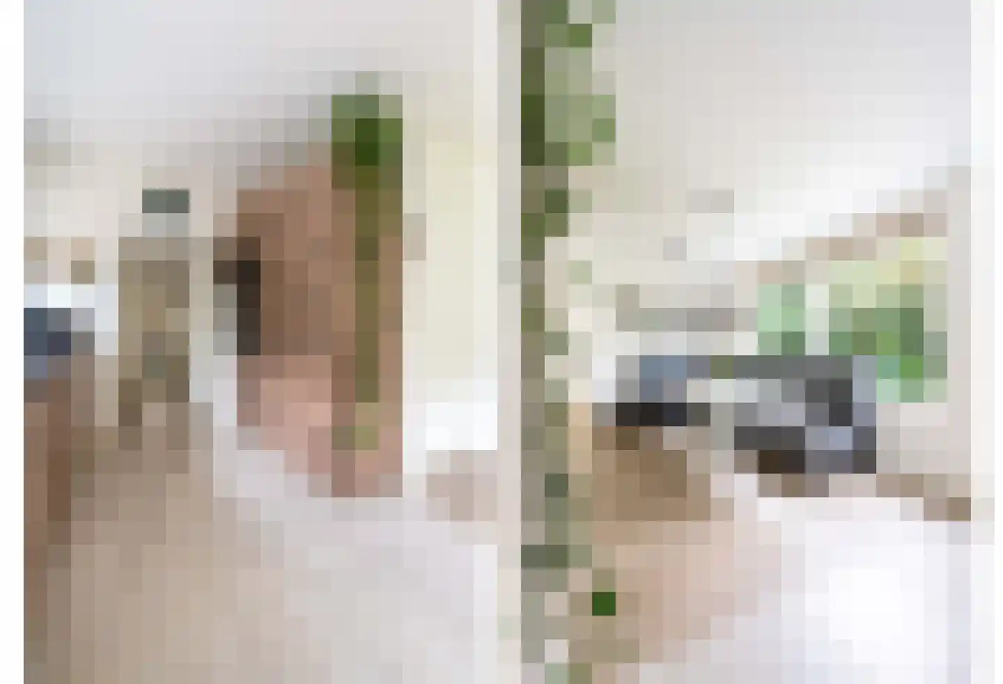 Bosweg 102 Apeldoorn thumbnail 10
