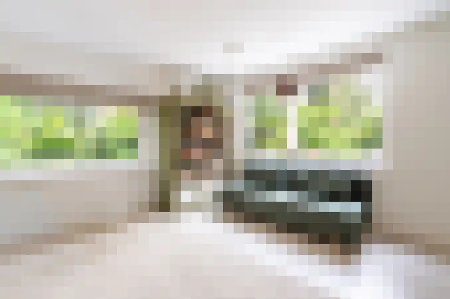 Bosweg 102 Apeldoorn thumbnail 15