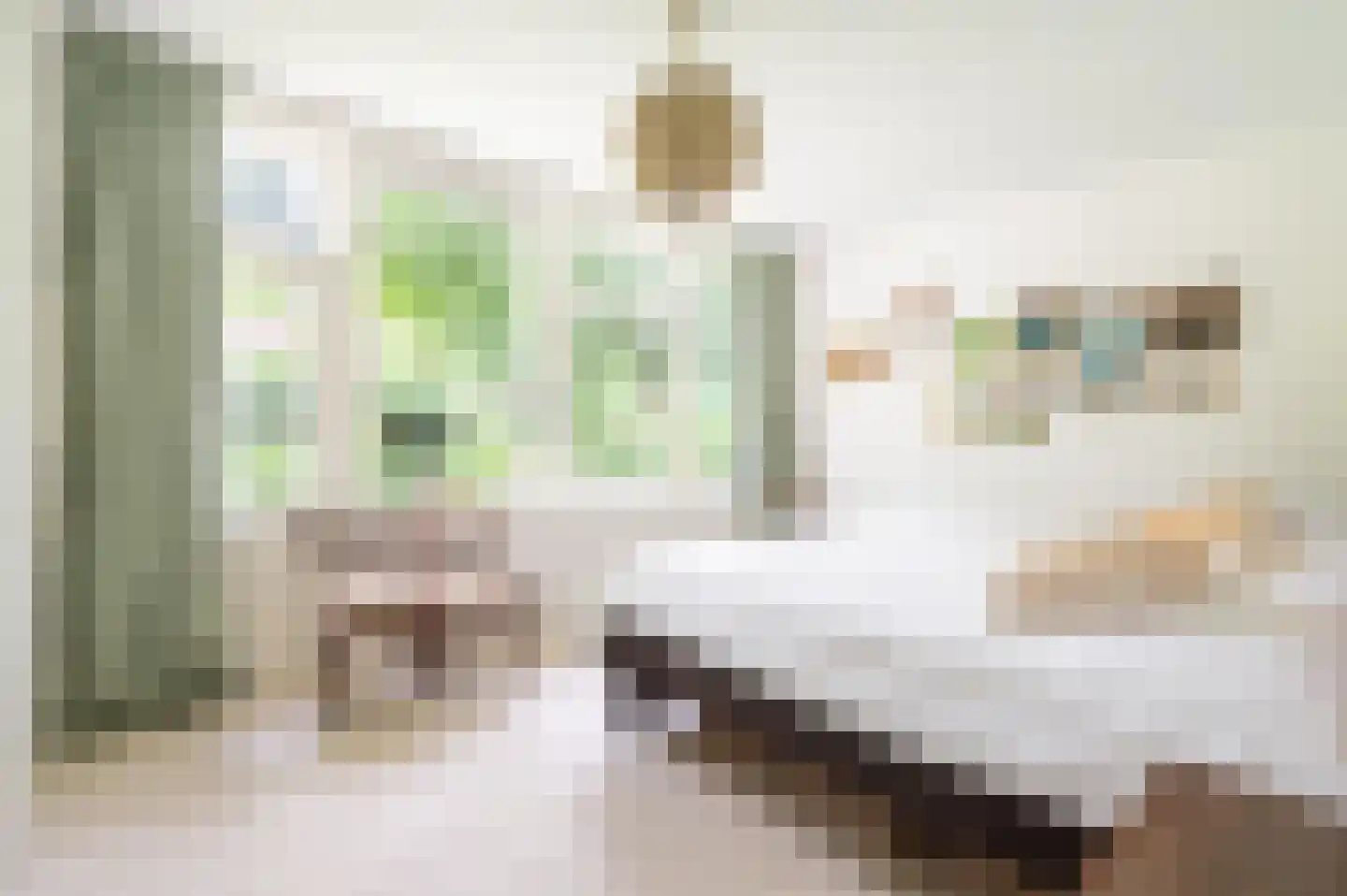 Bosweg 102 Apeldoorn thumbnail 16