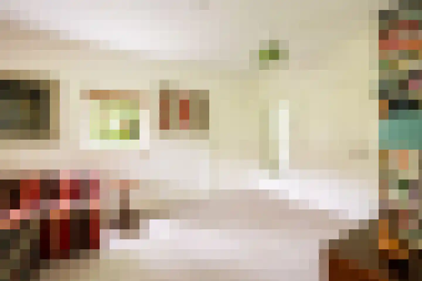 Bosweg 102 Apeldoorn thumbnail 26