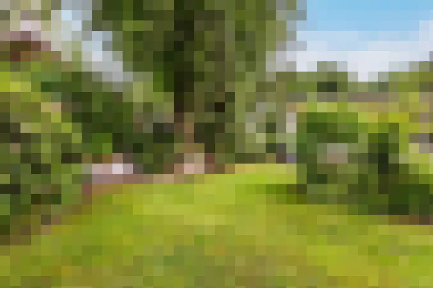 Bosweg 102 Apeldoorn thumbnail 30