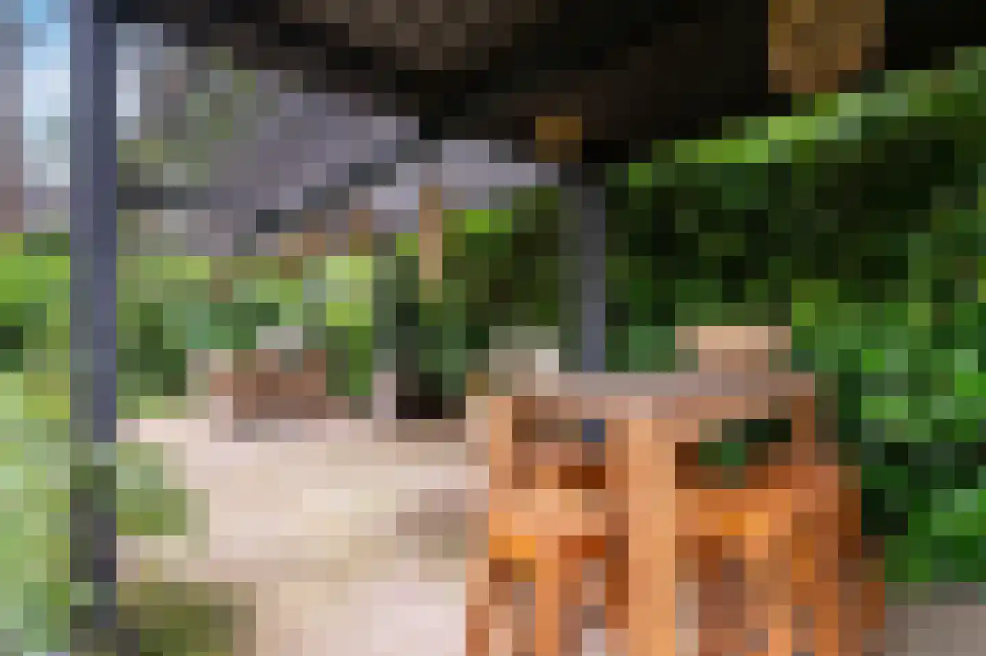 Bosweg 102 Apeldoorn thumbnail 31