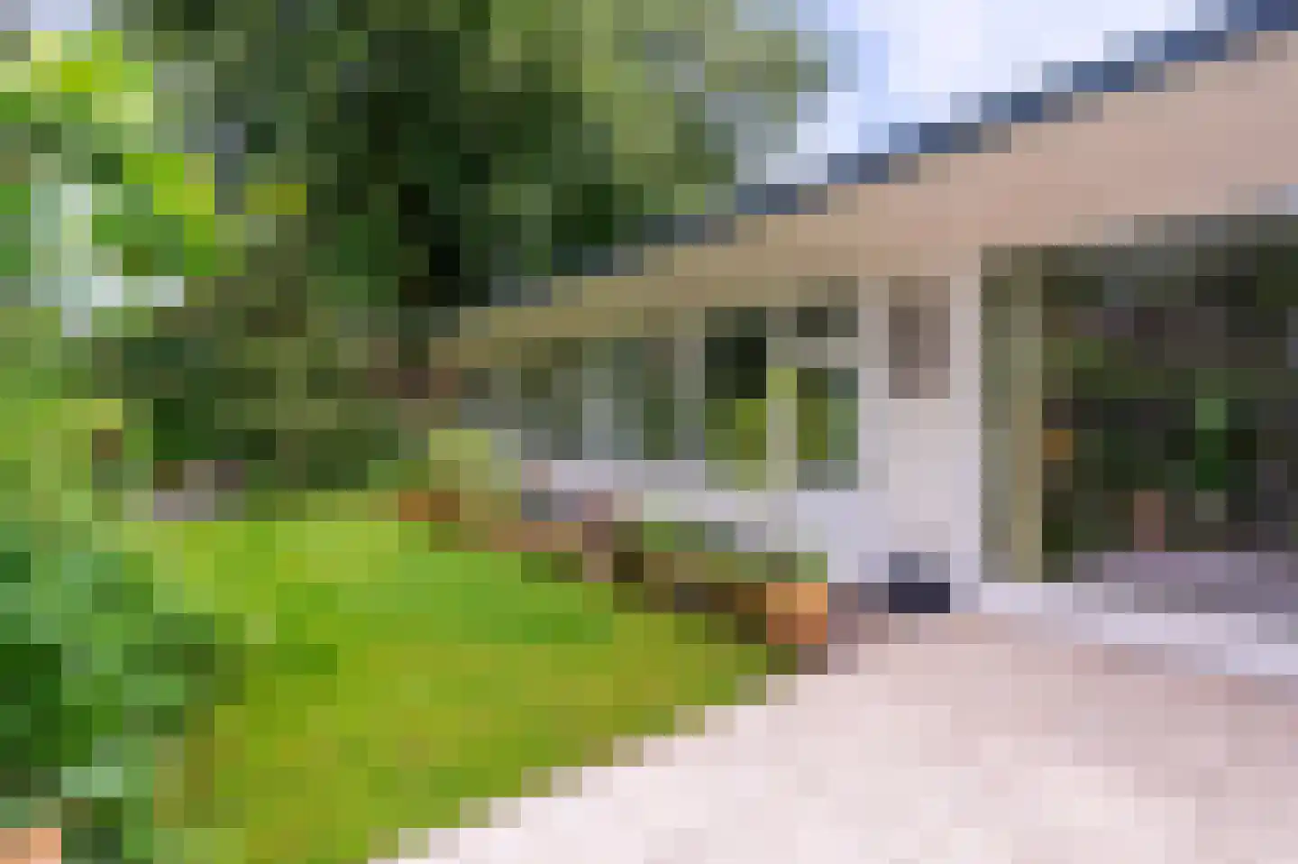 Bosweg 102 Apeldoorn thumbnail 32