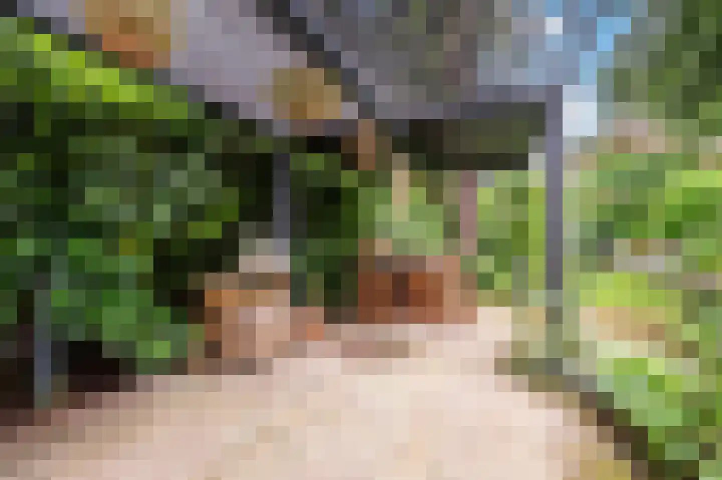Bosweg 102 Apeldoorn thumbnail 34