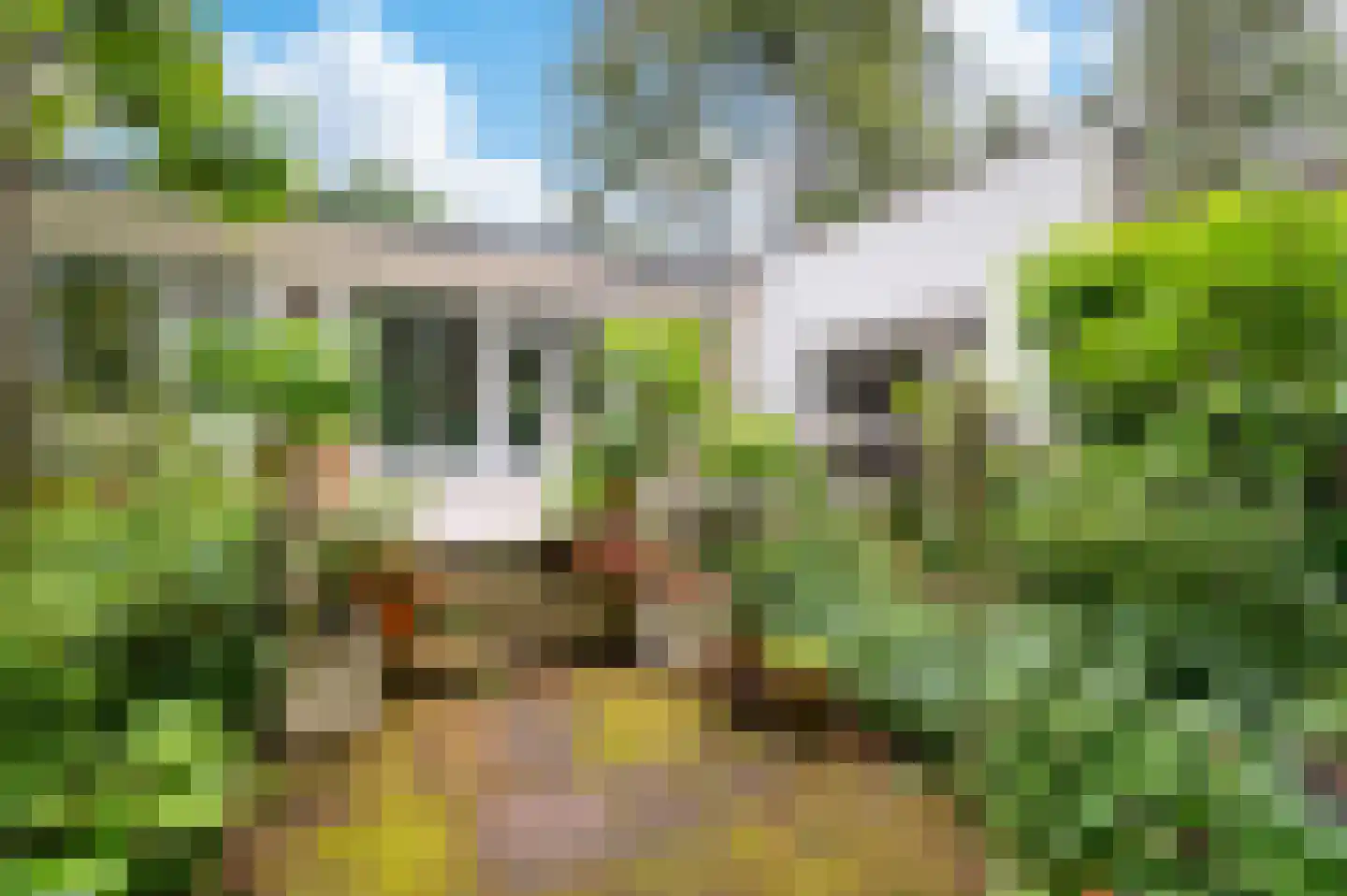 Bosweg 102 Apeldoorn thumbnail 35