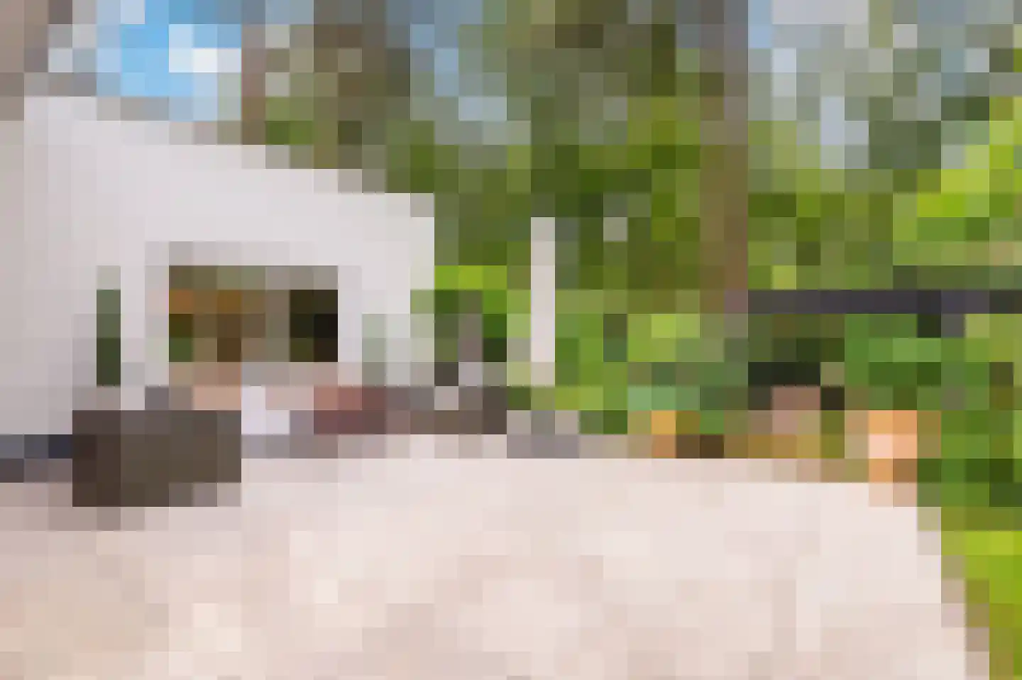 Bosweg 102 Apeldoorn thumbnail 36