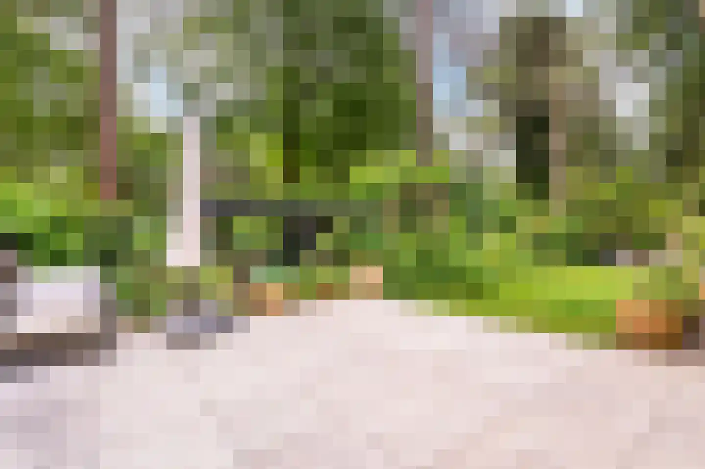Bosweg 102 Apeldoorn thumbnail 37