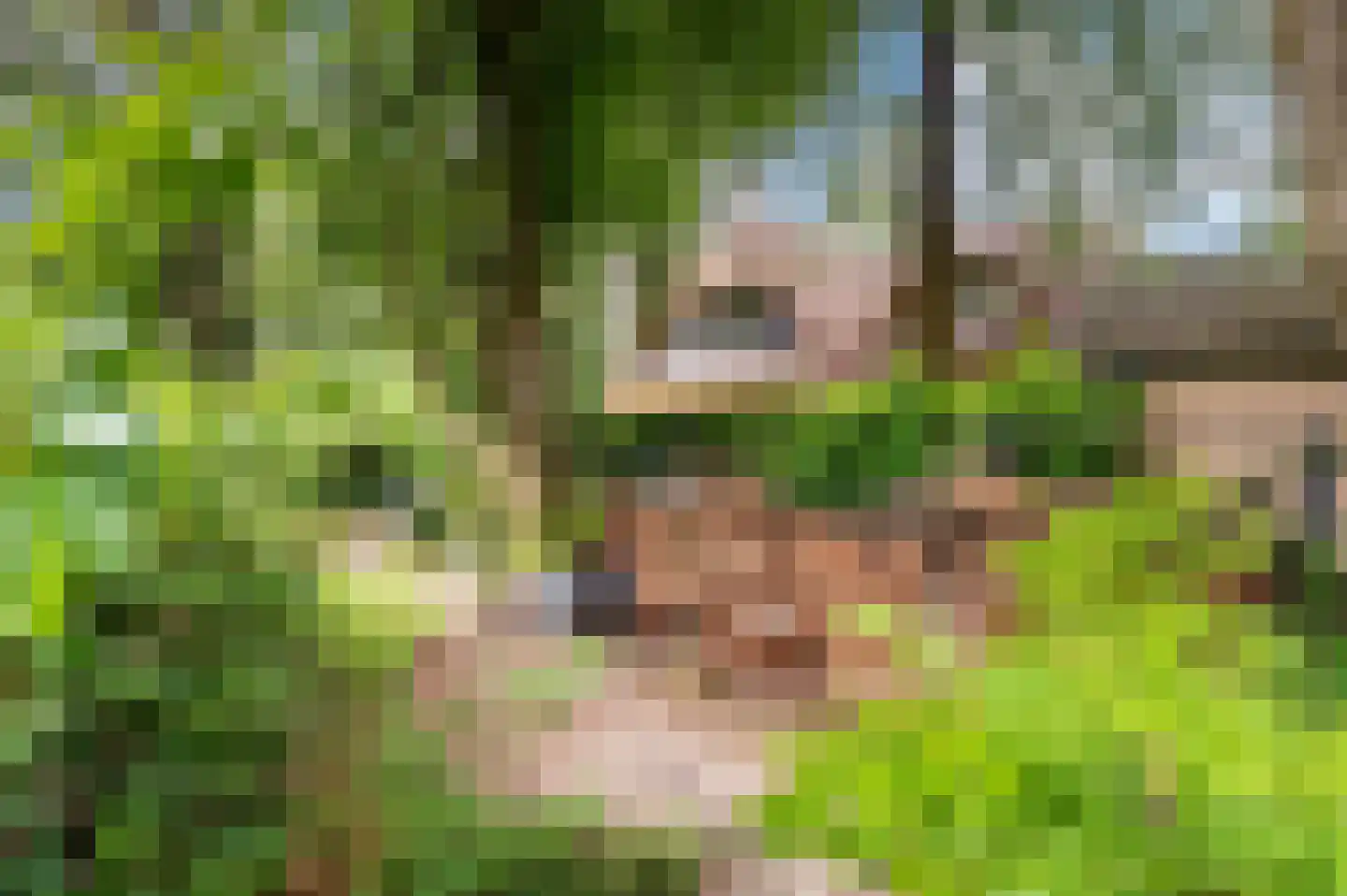 Bosweg 102 Apeldoorn thumbnail 39