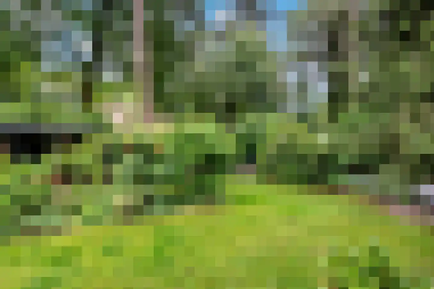 Bosweg 102 Apeldoorn thumbnail 41