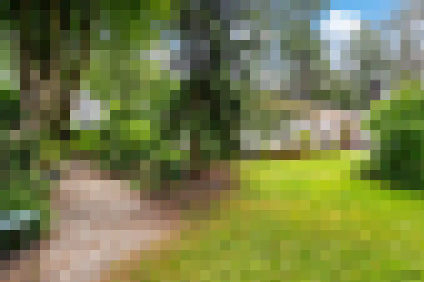 Bosweg 102 Apeldoorn thumbnail 42