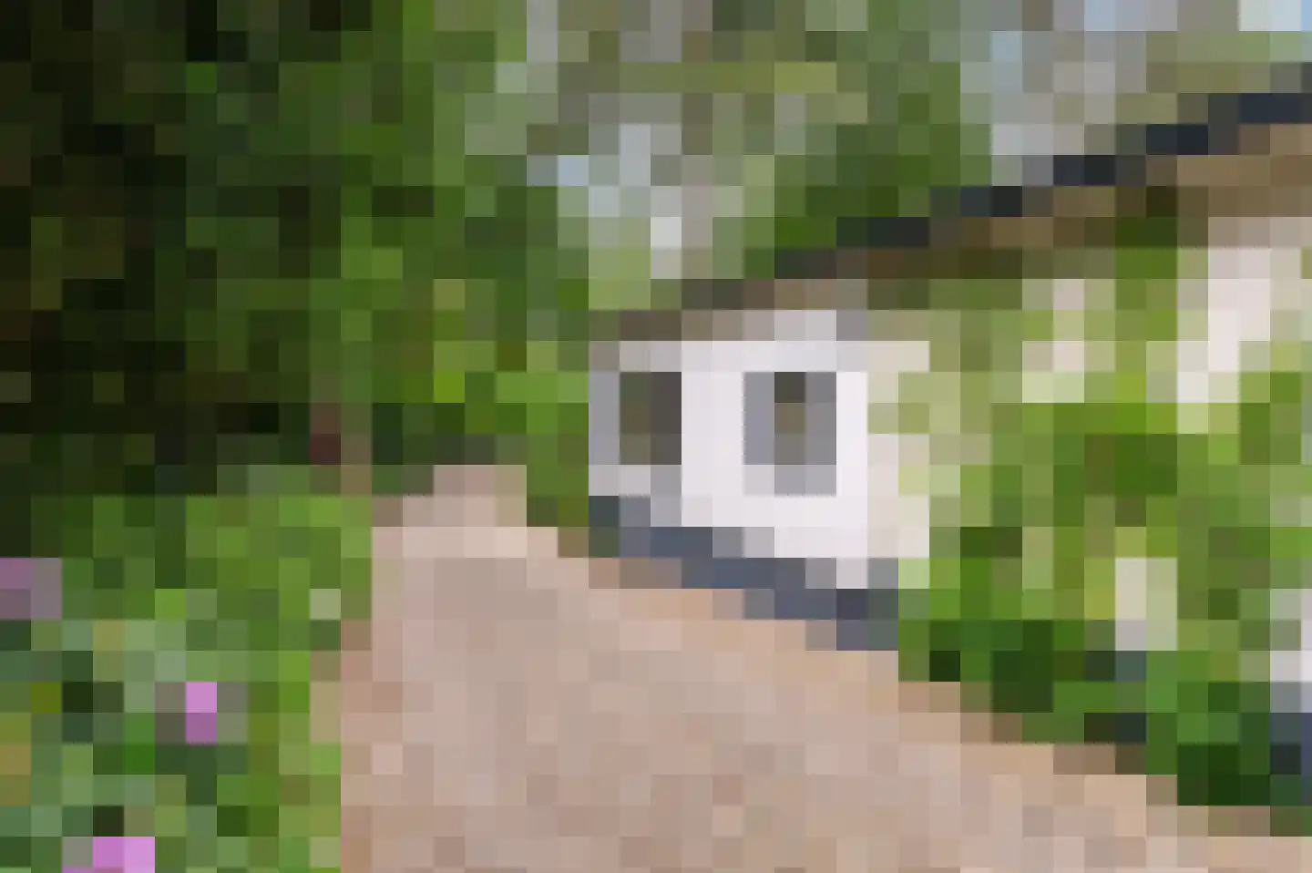 Bosweg 102 Apeldoorn thumbnail 45