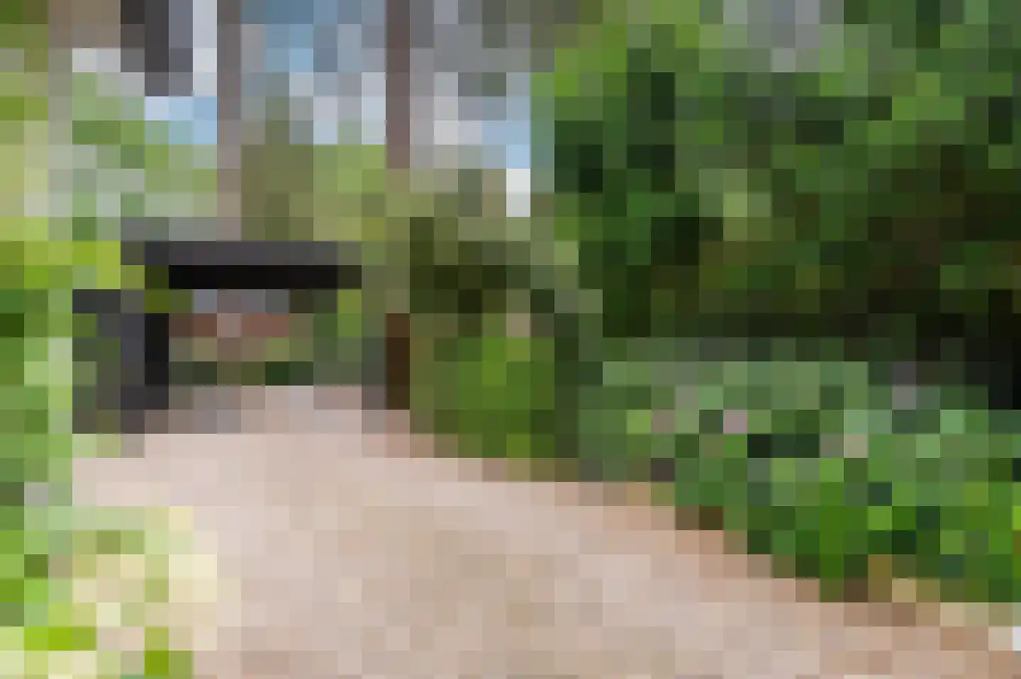 Bosweg 102 Apeldoorn thumbnail 46