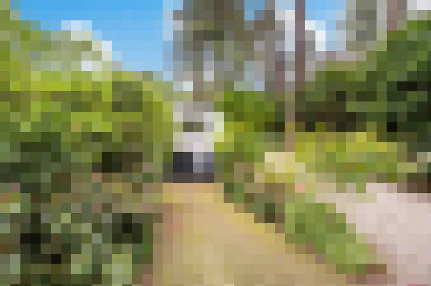 Bosweg 102 Apeldoorn thumbnail 47