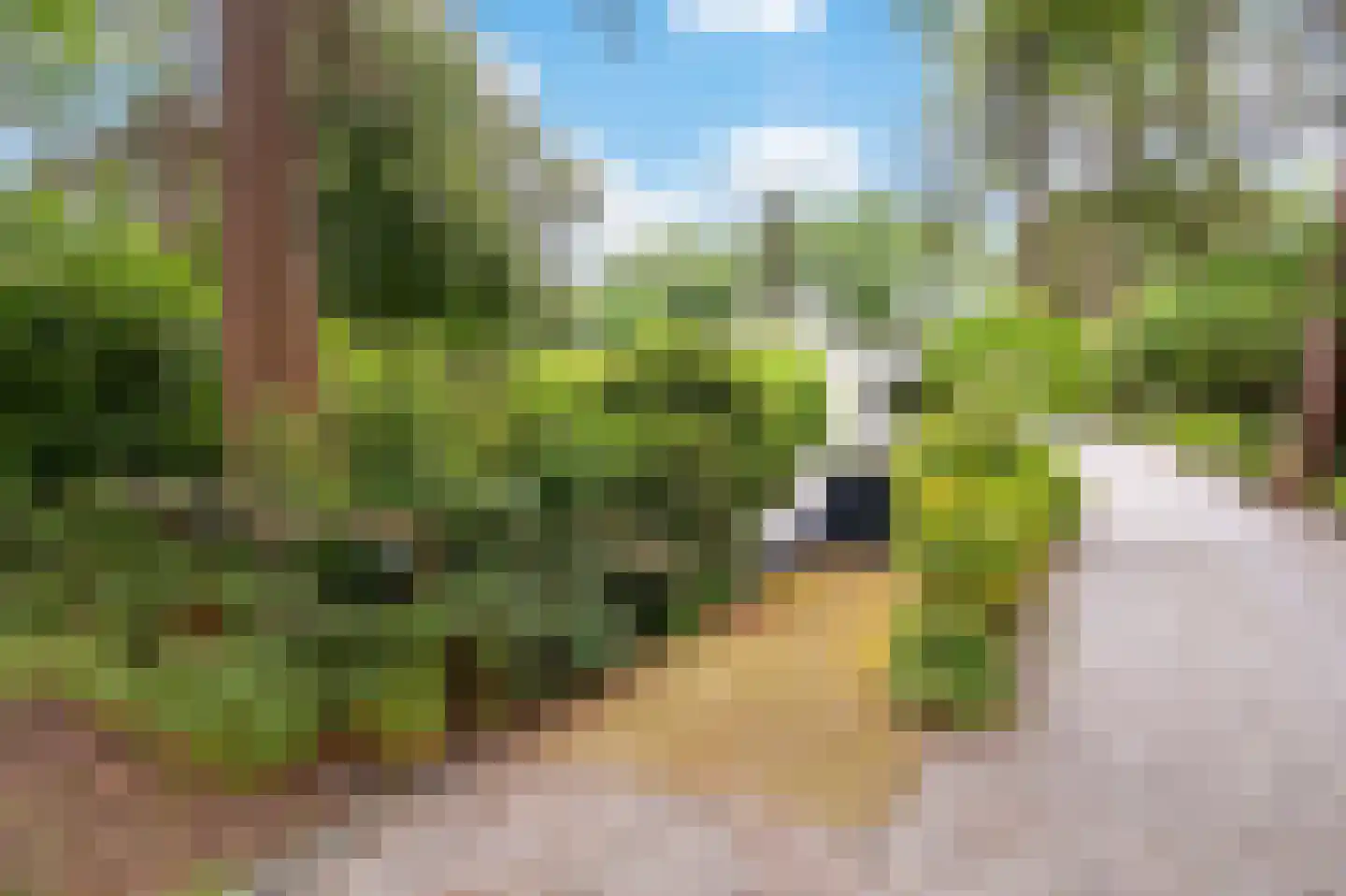 Bosweg 102 Apeldoorn thumbnail 48